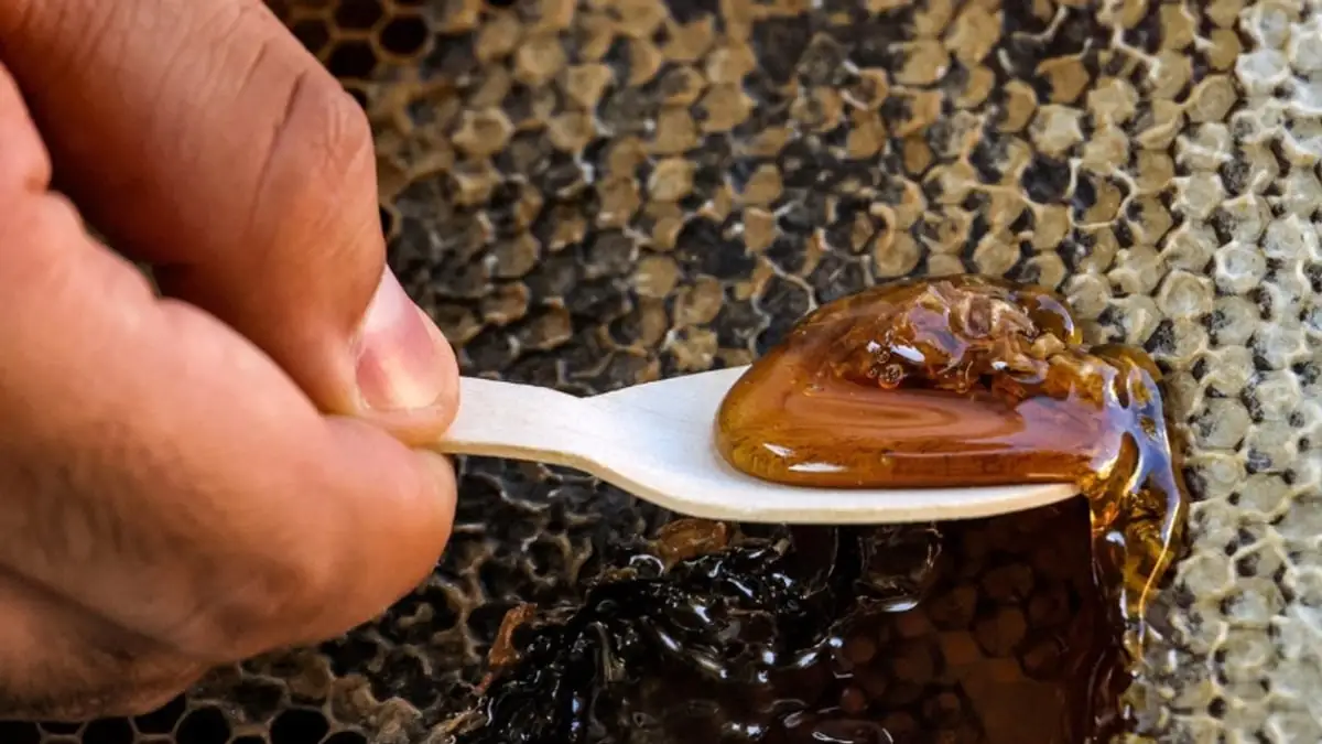 تحذيرات من مخاطر العسل: صدمة تأقية وتسمم وشيقي للأطفال