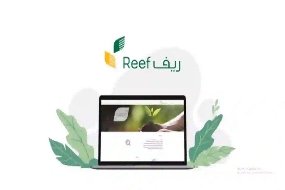 وقف صرف دعم ريف في السعودية عن آلاف المستفيدين بعد بدء تطبيق هذا الشرط الجديد